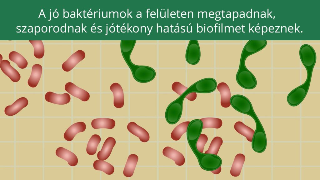 Sanodornature működése