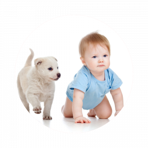 gyerekre és állatra sem veszélyes tisztítószer