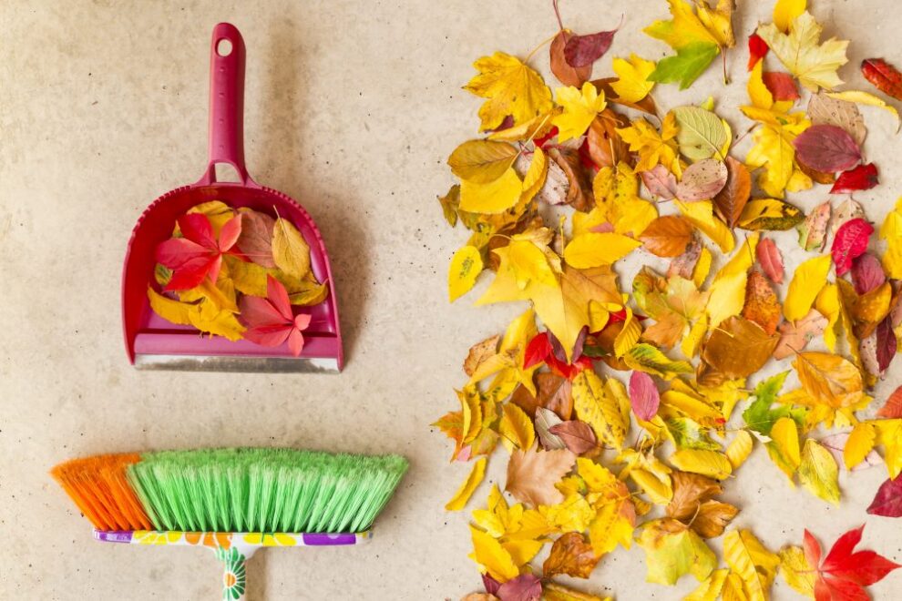 őszi nagytakarítás